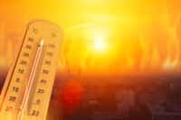 Une nouvelle canicule encore plus forte va se mettre en place. © Quality Stock Arts, Adobe Stock